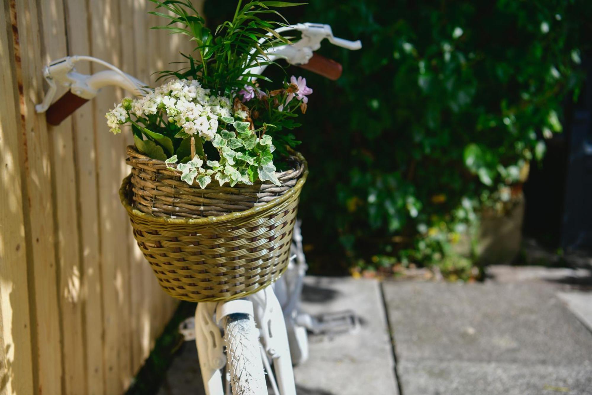Free Parking - Heart Of The City - Superb Townhouse & Garden - Peaceful Area But Only 5Min Walk To Beach, Shops, Bars, Arena, Marina, Parks Swansea Eksteriør bilde